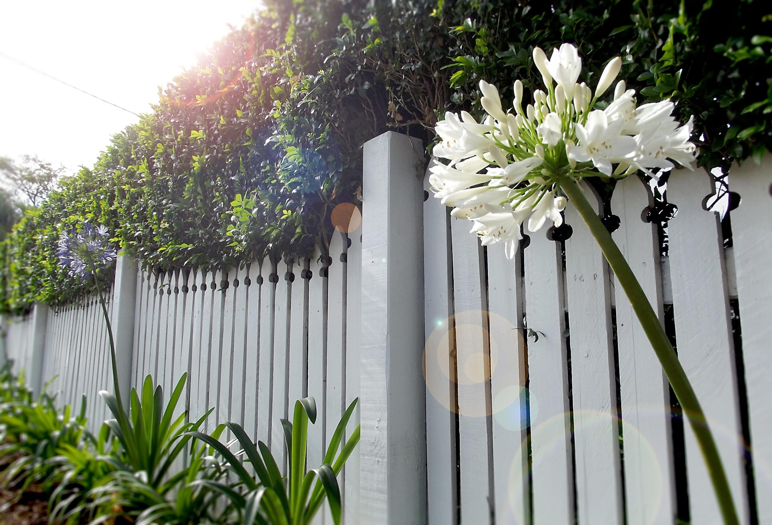 white picket fence in front of a home boss pdx